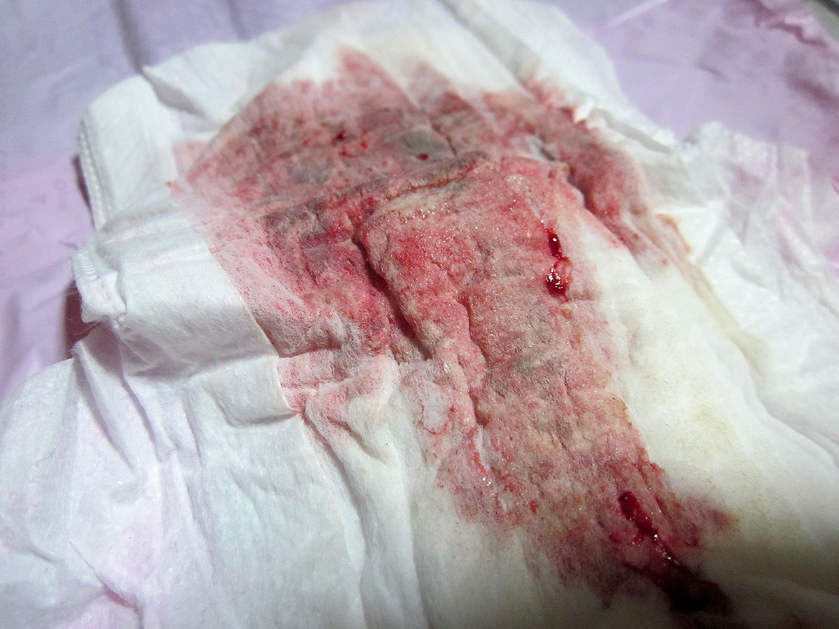 15 100 - 【熟女画像】熟女が使用した血の付いた生理用品(ナプキン・タンポン)マニアエロ画像